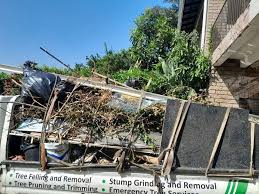 Retail Junk Removal in Huachuca City, AZ