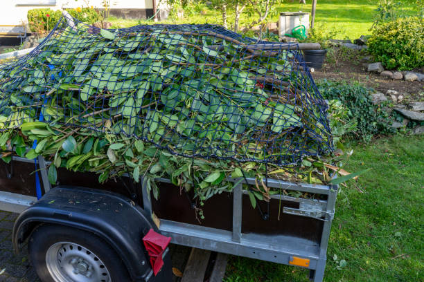 Best Dumpster Rental Services  in Huachuca City, AZ